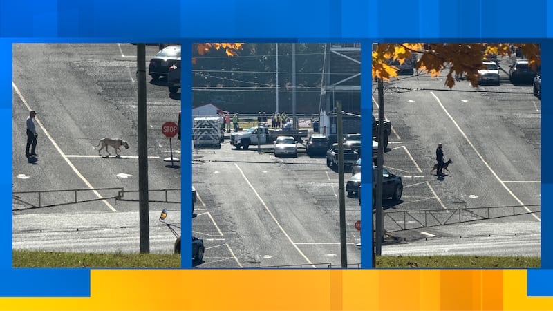 Students and staff safe after Cocke County High School receives bomb threat: sheriff