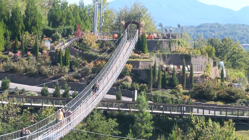 SkyBridge at SkyPark in Gatlinburg, TN