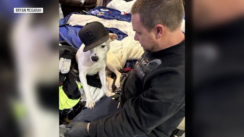 Bryan McGarah and his four-year-old dog, Snow