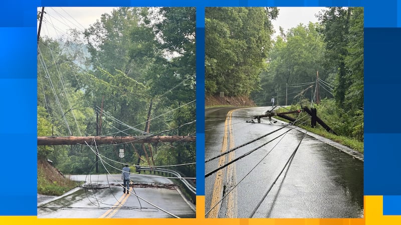 Downed tree prompts Harriman Utility Board response, closes highway and cuts power