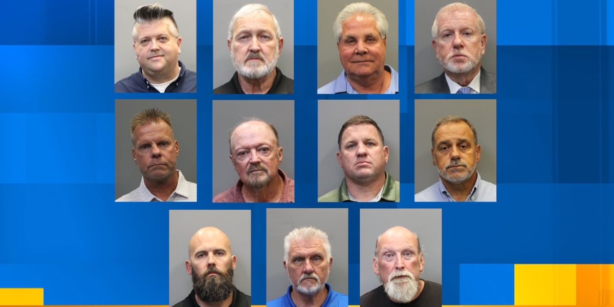 Kcso Rook Court documents reveal allegations that led to indictments of 11 from KCSO