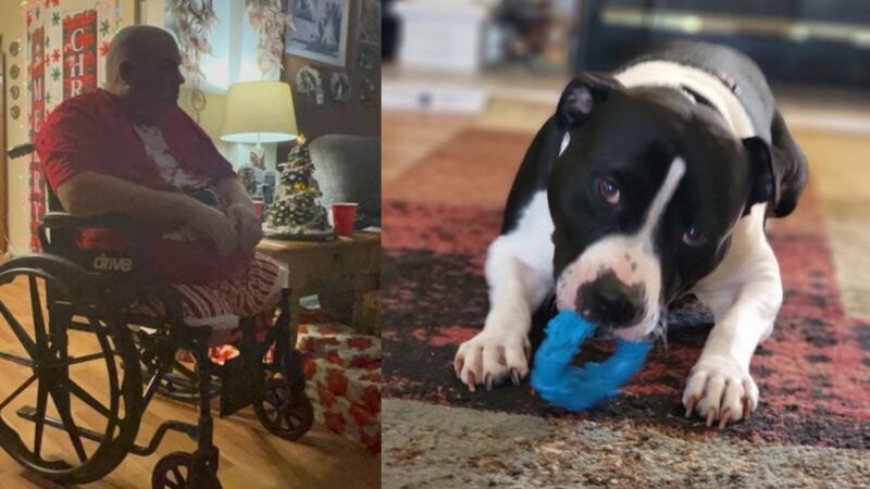 Robert Stalter left his home with his dog Smoke on Saturday morning for their routine walk...