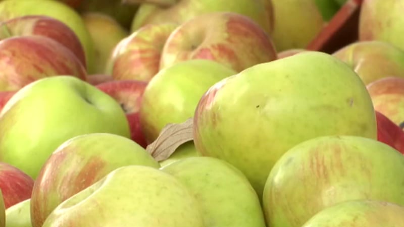 A program that helps the state’s seniors access fresh produce while also supporting local...