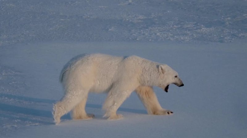 A person aboard a vessel in Norway was fined more than $5,000 for intentionally using a...