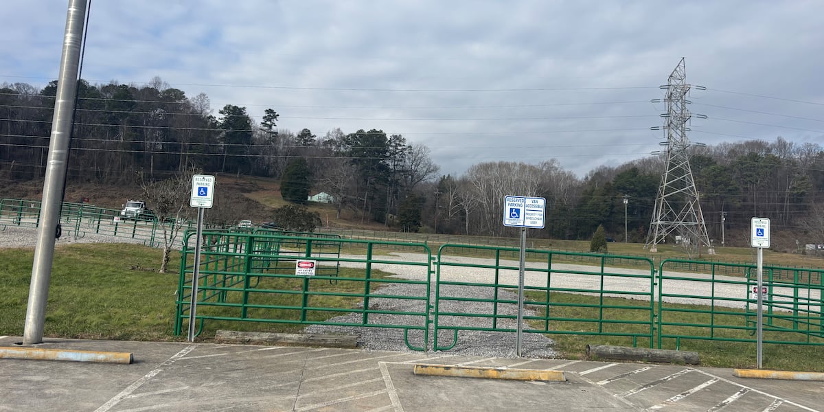 Anderson County seeks input on new Claxton Park after playground demolition