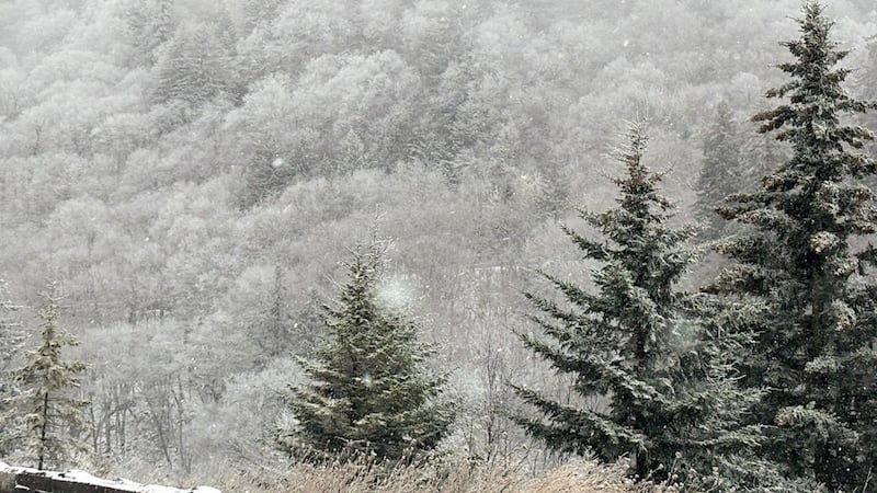 Snow in Great Smoky Mountains National Park on Nov. 10, 2025