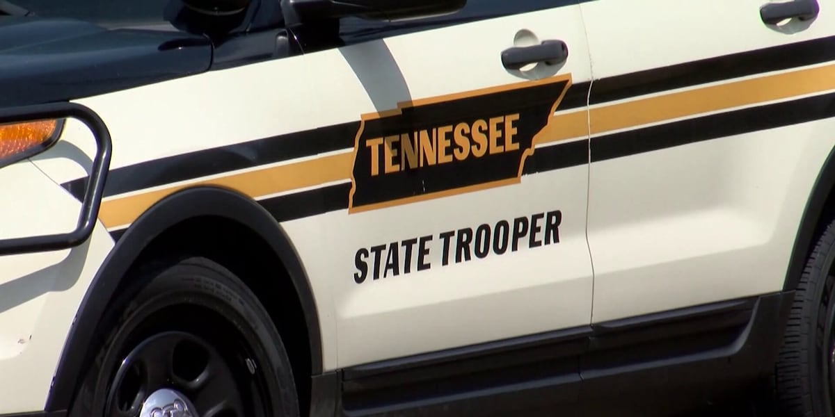 Teen dies after hitting bear on Campbell County road, Tennessee Highway Patrol says Teen dies after hitting bear on Campbell County road, Tennessee Highway Patrol says