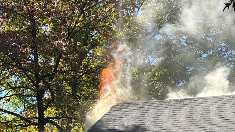Cat dies in north Knoxville house fire, KFD says