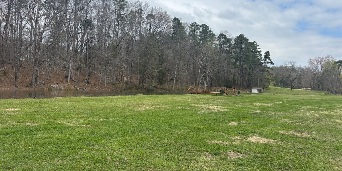 Tennessee bill would shift control of hunting laws from local governments to state