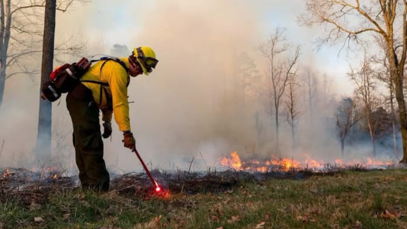 Burns will take place at the Freels, Solway, and Gallaher Bend fields east of the Oak Ridge...
