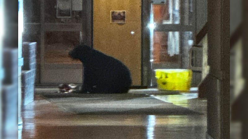 A visitor with no badge found herself alone in a locked hallway, about 30 feet from a “pretty...