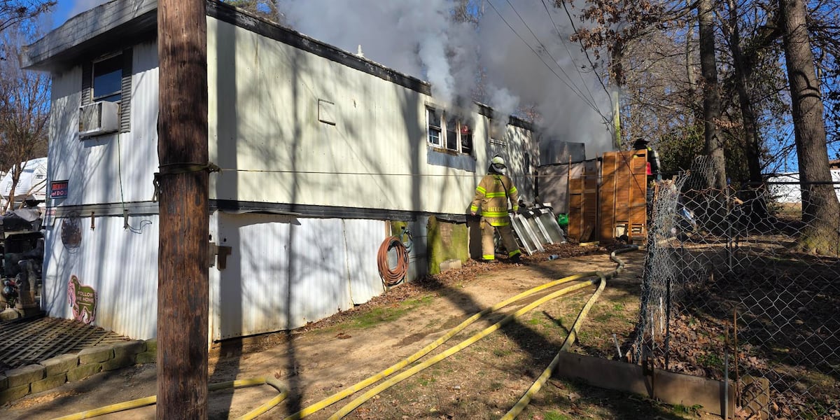Three pets die in Powell house fire, Rural Metro says