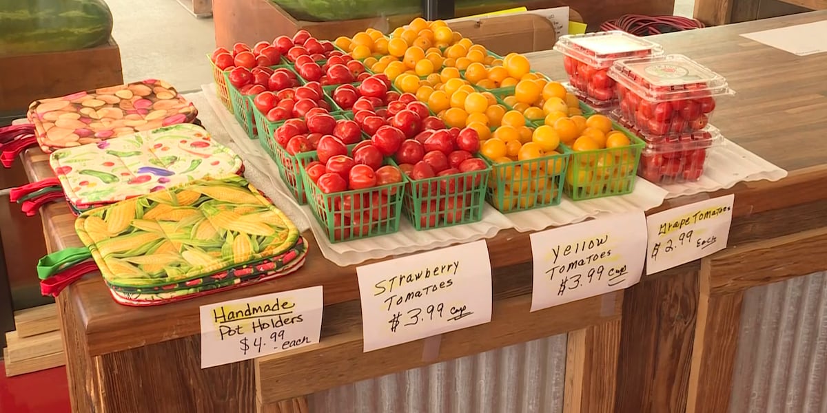 33rd annual Grainger County Tomato Festival kicks off this weekend in Rutledge Nearly 140 vendors, live music and a patriotic tribute headline this year's event