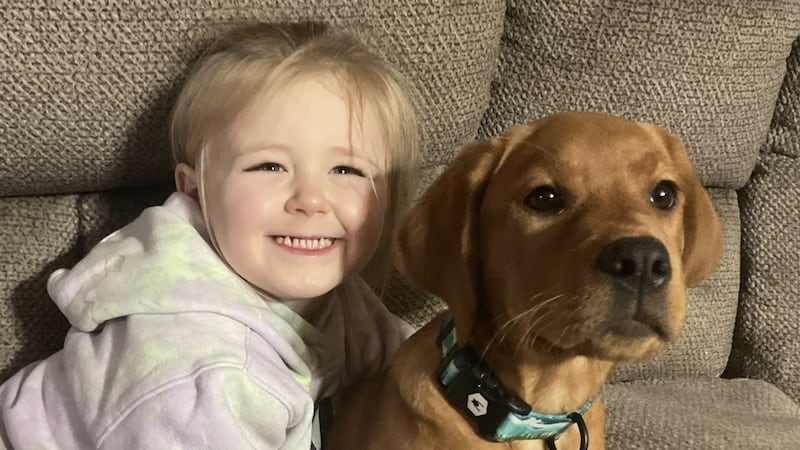 Monroe County family reels after neighbor charged with shooting, killing family dog