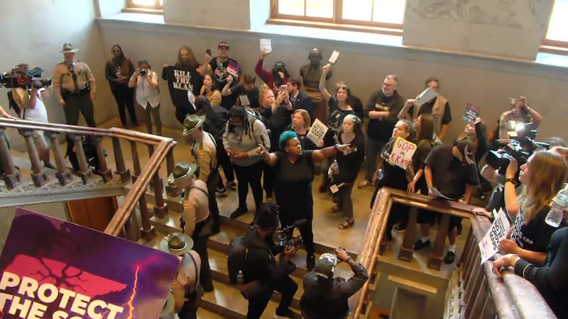 Protestors gathered inside the Tenn. General Assembly Thursday in response to redistricting...