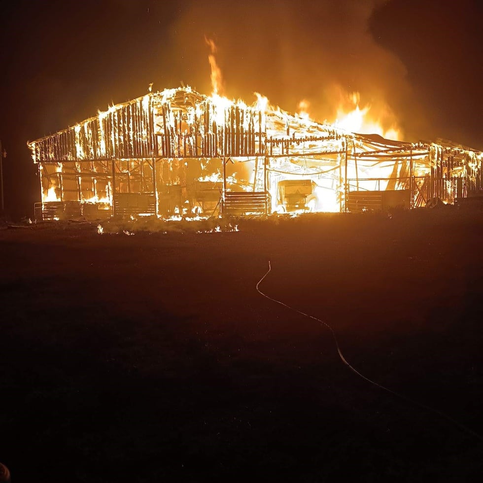 Farm animals lost in morning New Market barn fire, fire department says