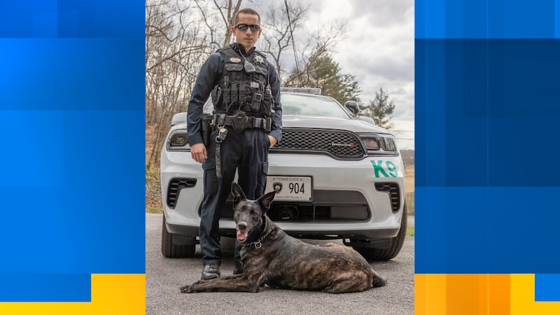 K-9 Deja