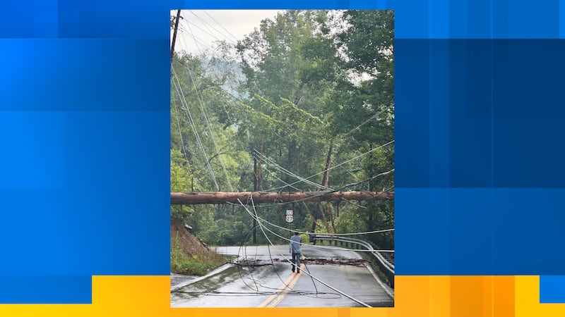 Downed tree prompts Harriman Utility Board response, closes highway and cuts power