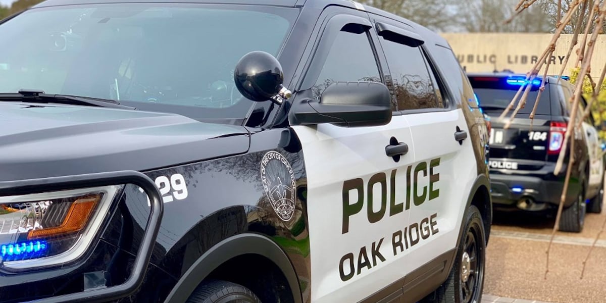 $1M lawsuit filed against Oak Ridge officers accused of using excessive ...