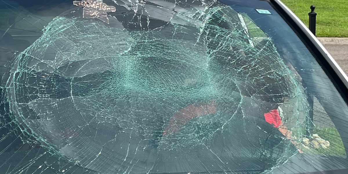 ‘Thankful I was safe’ | East Tennessee man says he had to replace windshield after unsecured load smashes into car