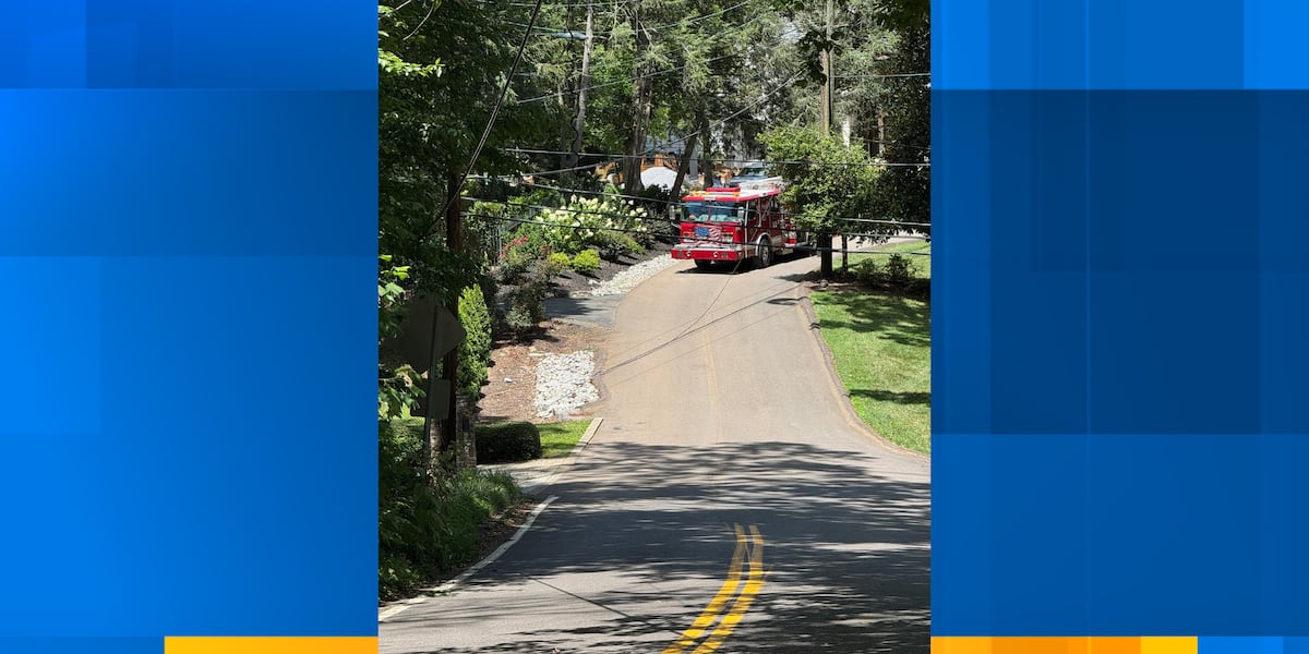 Rowgs Dep Roads shut down after tractor-trailer gets stuck in power lines ...