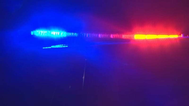 Multiple injuries were reported after an SUV and school bus collided on U.S. 119 in Harlan...