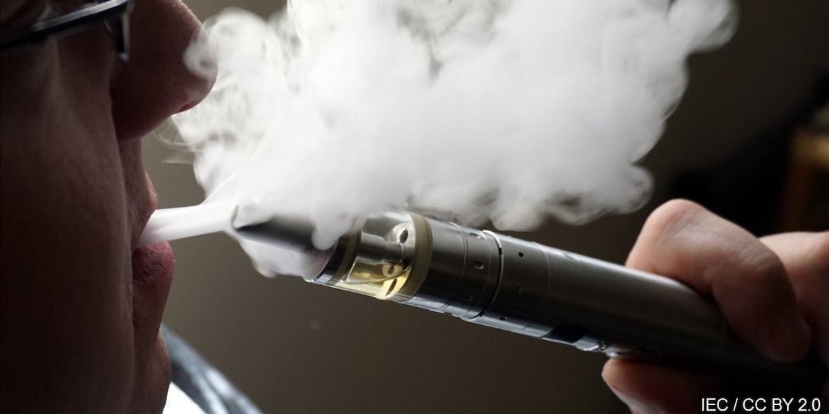 argus xt vape mod ARGUS XT MT argus xt vape mod ARGUS XT MT