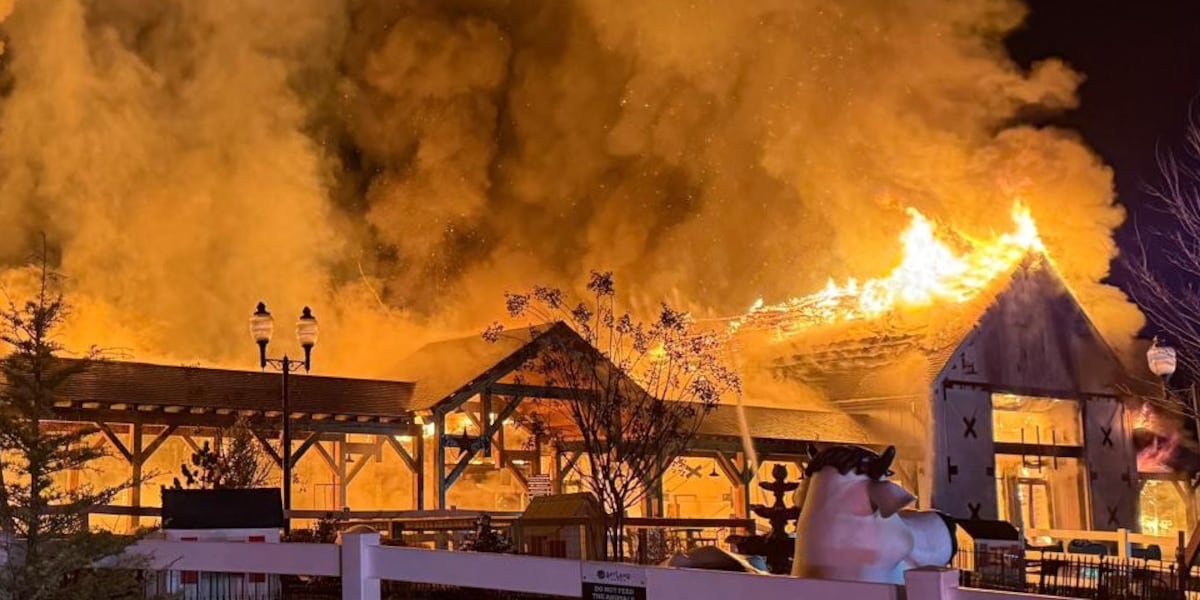 SkyLand Ranch in Sevierville partially reopens after barns destroyed in ...