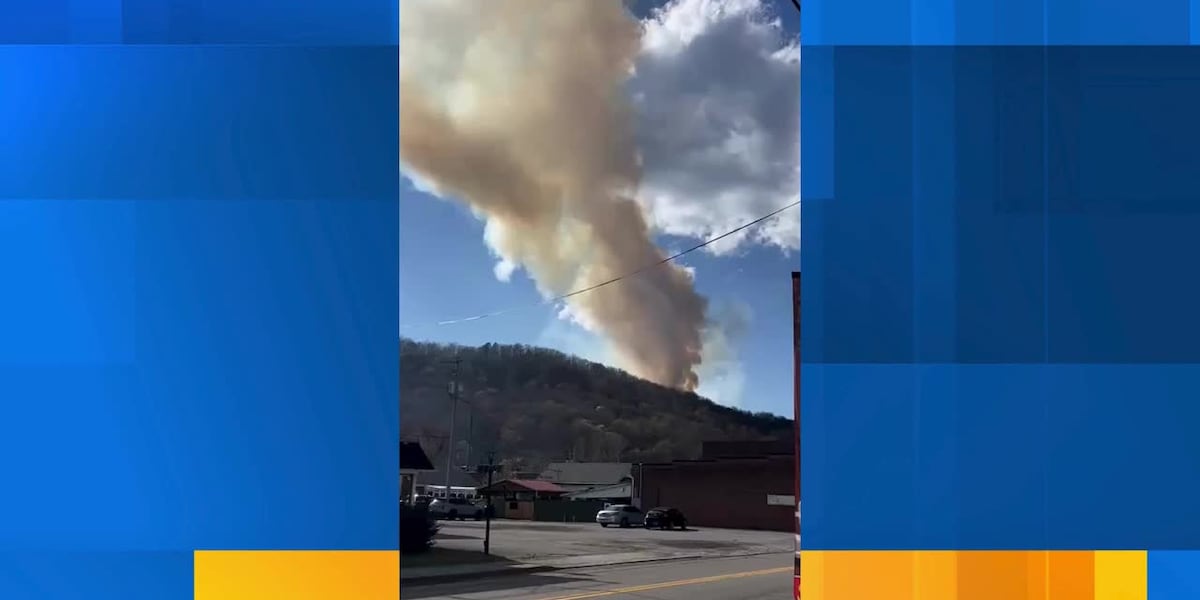 Fire Anderson Anderson Co. wildfire fully contained at 303 acres, Division of ...
