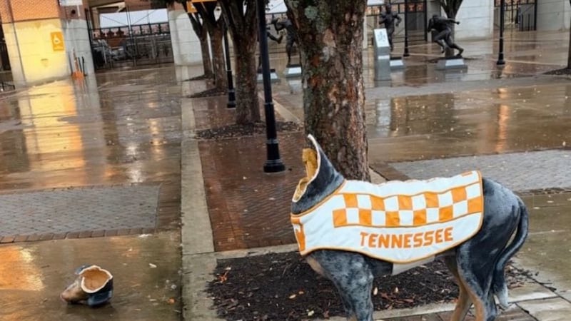 The statue has since been covered up by a tarp and tape while officials continue the...