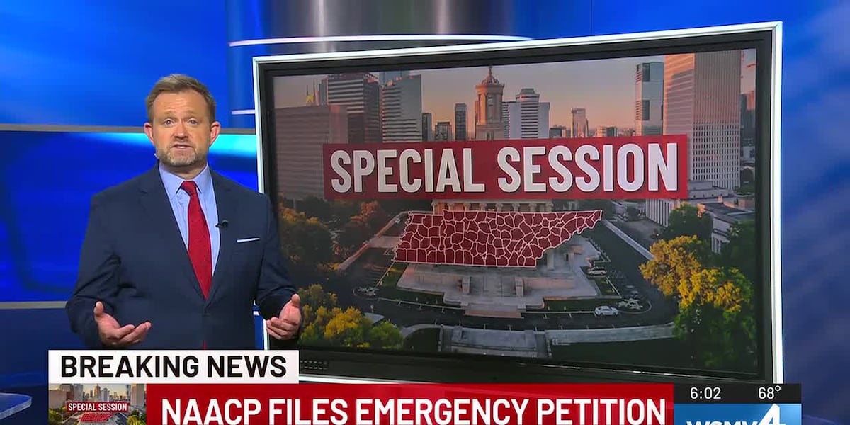 NAACP files emergency petition against Gov. Bill Lee, TN General Assembly over congressional redistricting