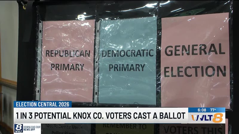 Democrats make gains as nearly 90,000 ballots cast in August election