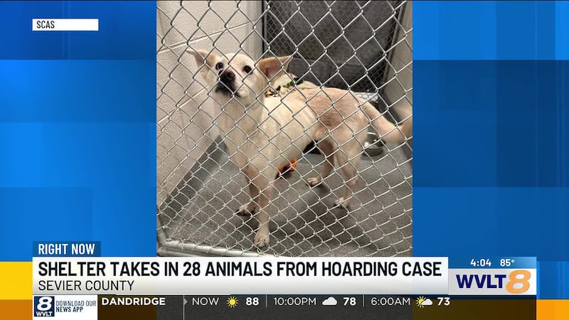 The Sevier County Animal Shelter is in desperate need of people to adopt or foster after...
